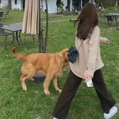 妖宴长安
